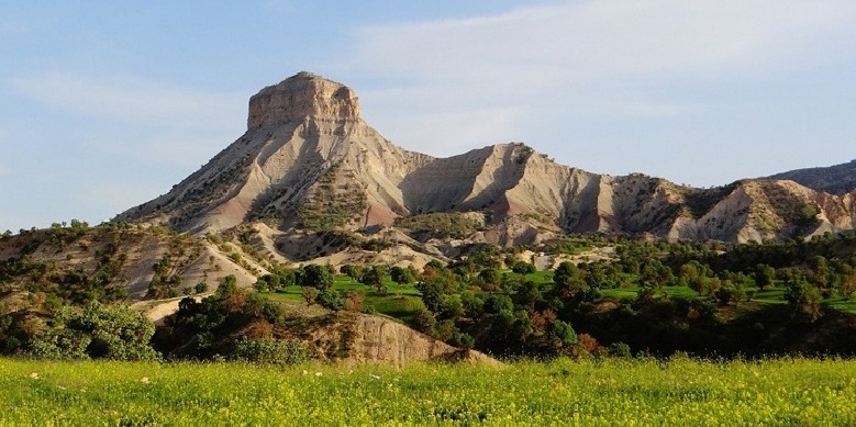  فروشگاه نمایندگی ایلام
